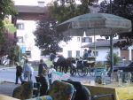 Wedding procession in Ehrwald