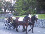 Wedding carriage in Ehrwald