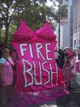 Code Pink's Fire Bush sign